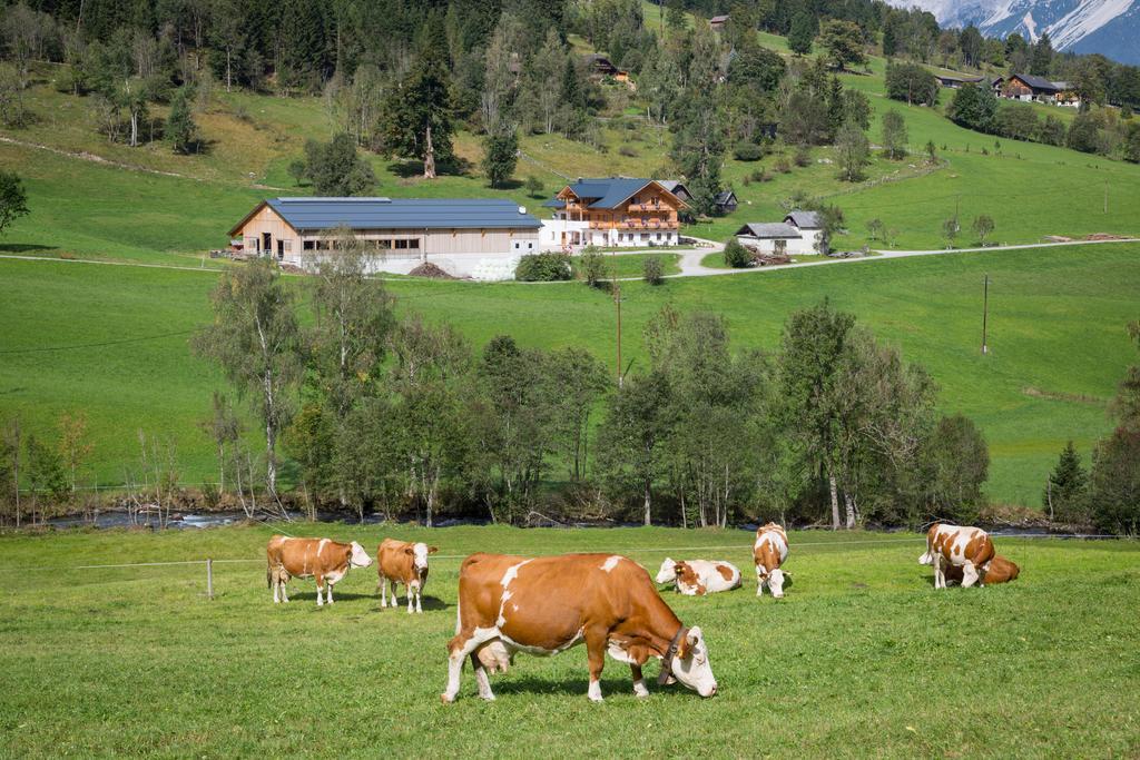 Rojerhof Vila Schladming Exterior foto